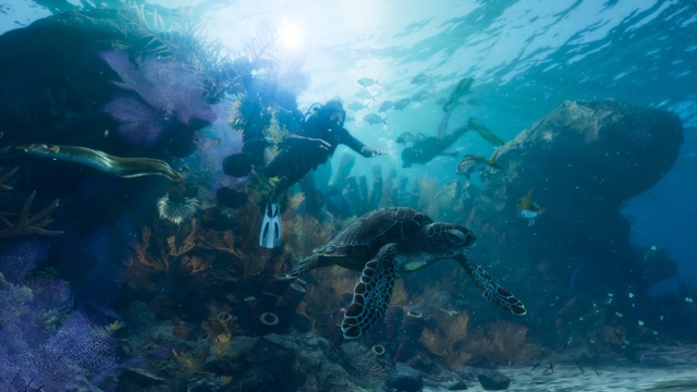 Two scuba divers swimming past a coral reef as a sea turtle glides by in the foreground.
