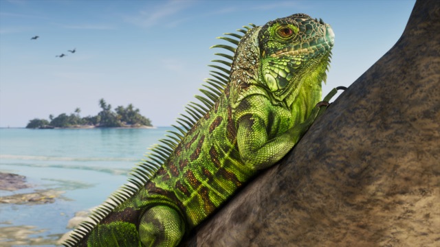 A green iguana perched on a rock above turquoise water in the Leonida Keys, in an official GTA 6 screenshot.