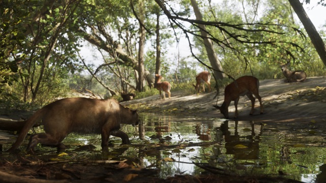 Mount Kalaga National Park, in an official GTA 6 screenshot of Leonida (5 of 6)